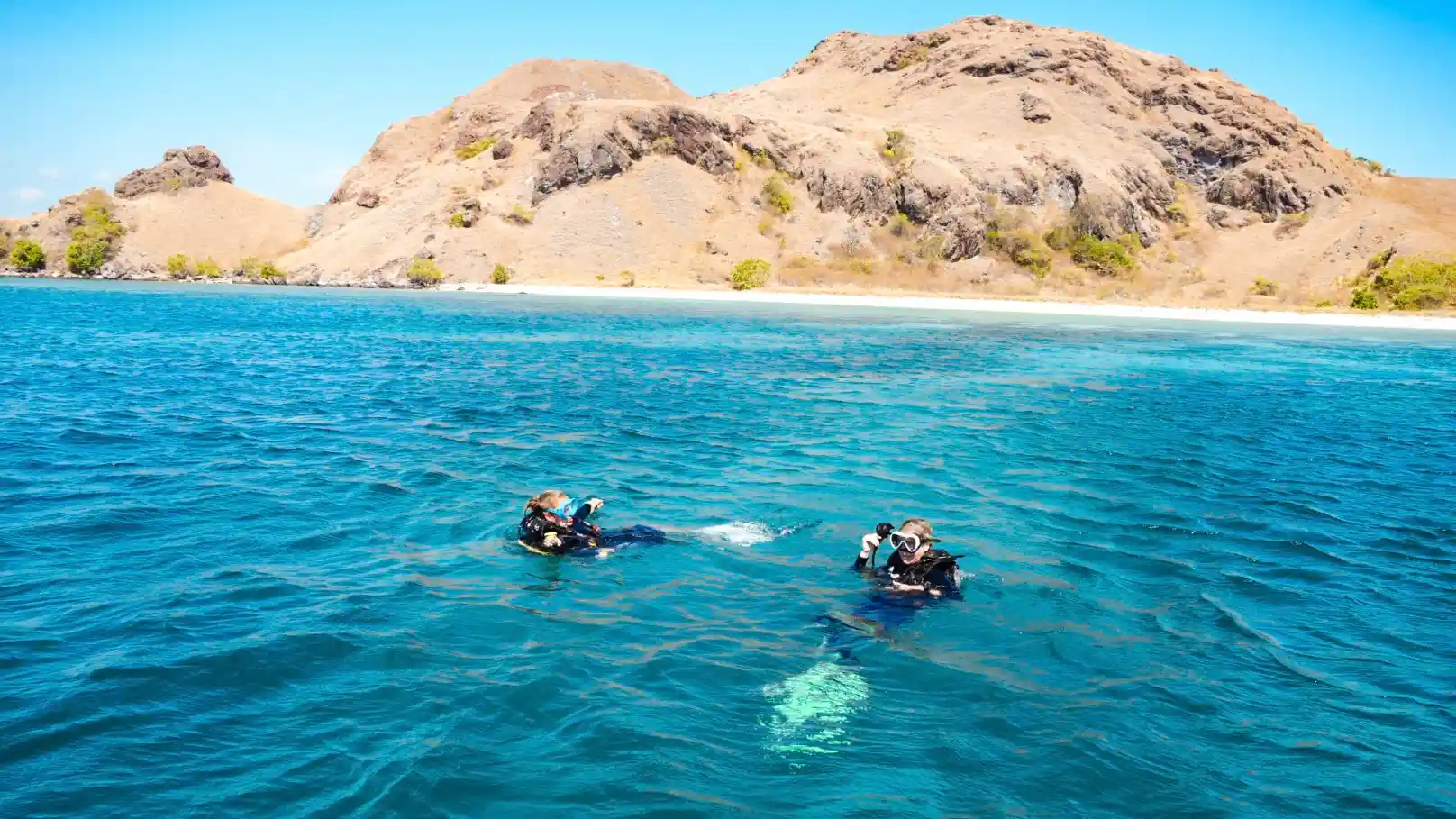 Best Diving Trips for Certified Divers