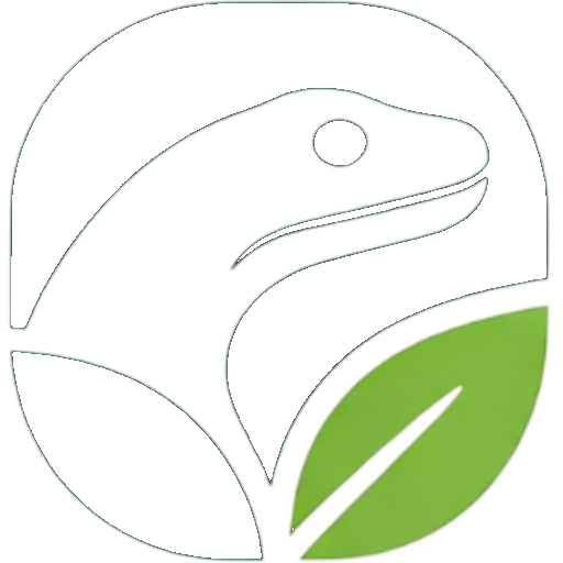 Komodo Wellness